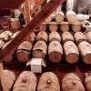 THE ACCROBRANCHE COMBO THEN TASTINGS - Image 8