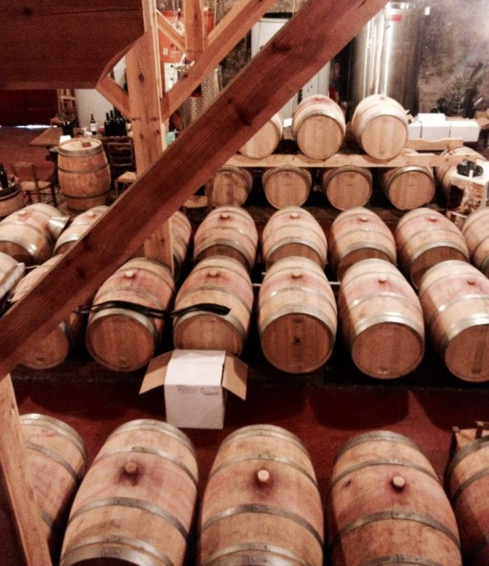 THE ACCROBRANCHE COMBO THEN TASTINGS - Image 8