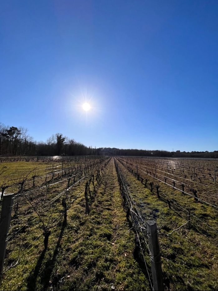 The LUSSEAU – Visit and Tastings Wines - Image 17