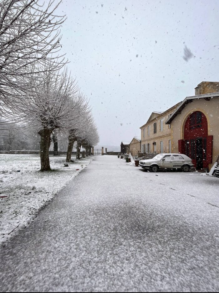 The LUSSEAU – Visit and Tastings Wines - Image 16