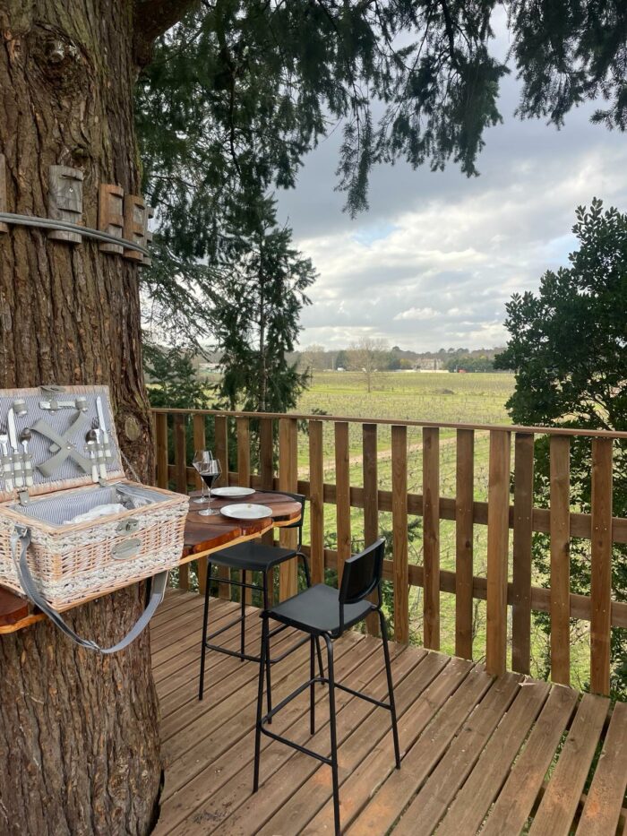 The Lusseau Terrace - Visits, tastings & appetizers - Image 4